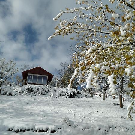 Holiday Home Nanin Konak 2 فردنيك المظهر الخارجي الصورة