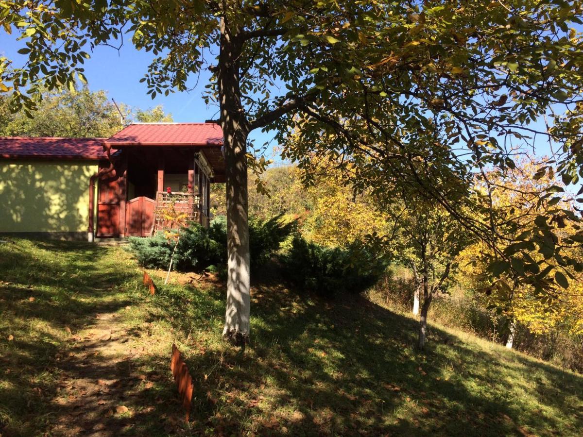 Holiday Home Nanin Konak 2 فردنيك المظهر الخارجي الصورة