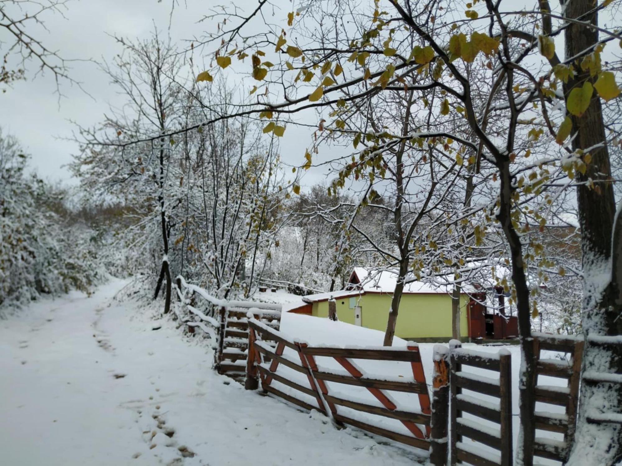 Holiday Home Nanin Konak 2 فردنيك المظهر الخارجي الصورة