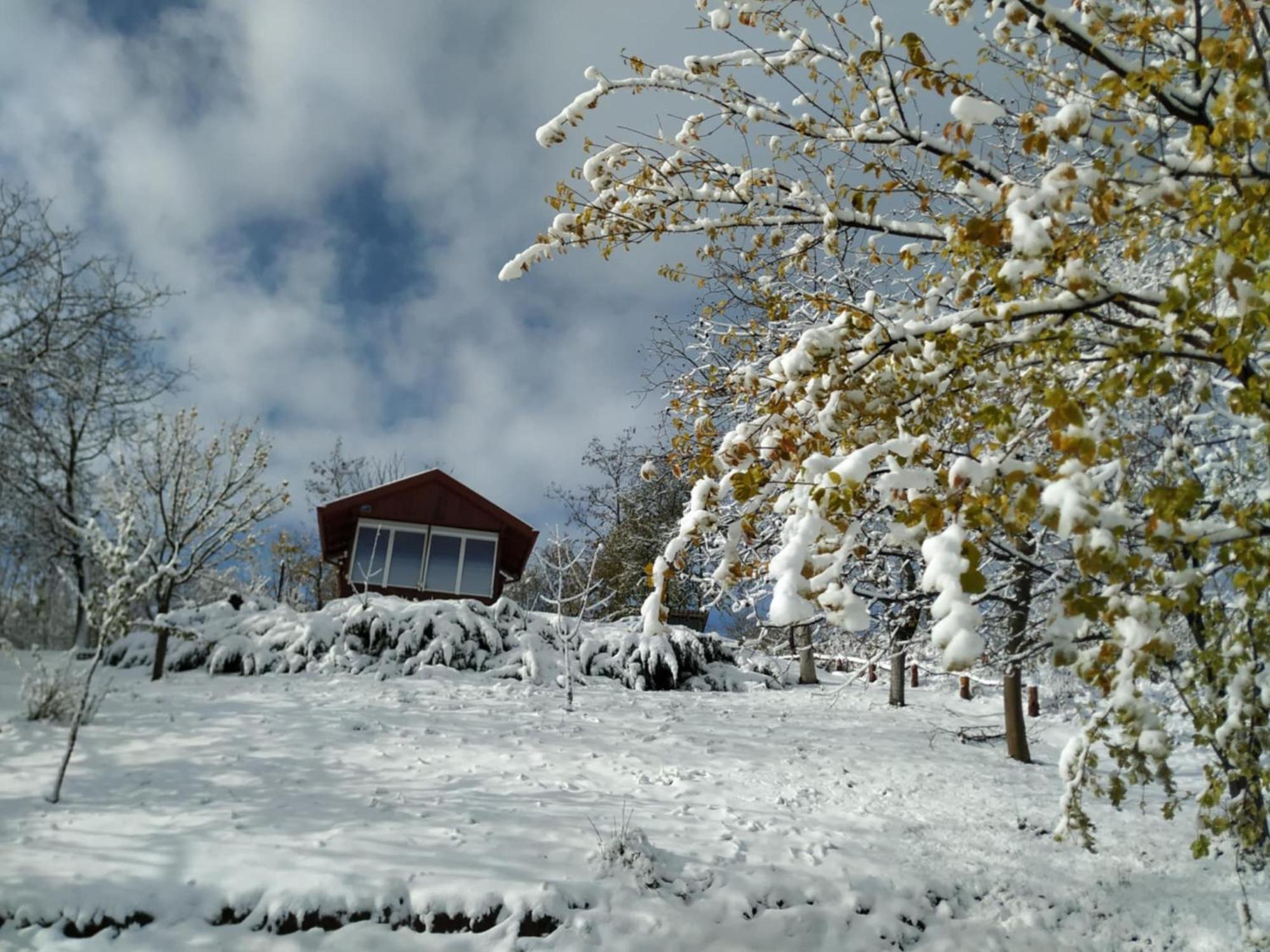 Holiday Home Nanin Konak 2 فردنيك المظهر الخارجي الصورة